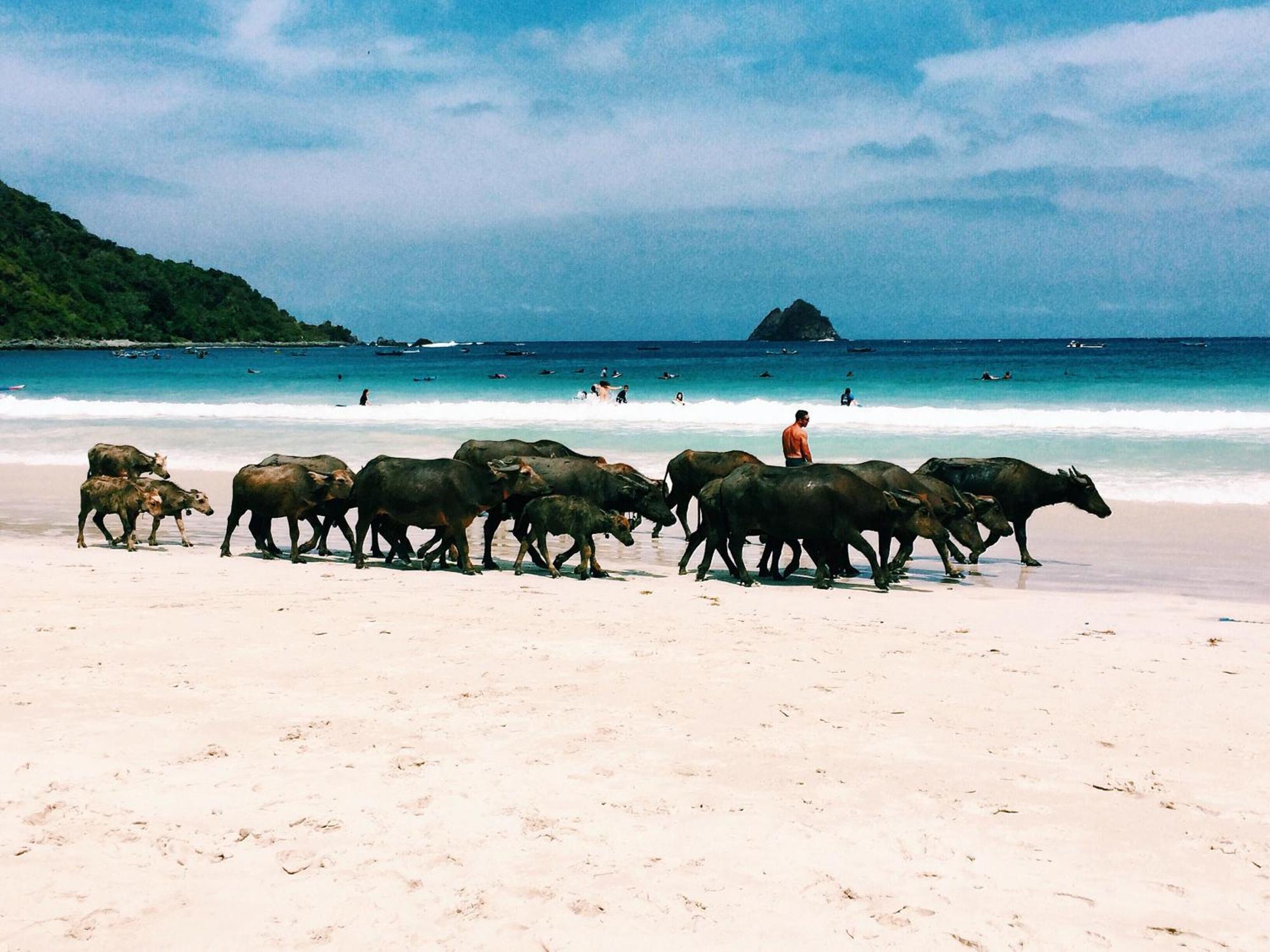 Hotel Luana Lombok Selong Belanak Exteriér fotografie